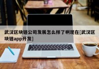 武汉区块链公司发展怎么样了啊现在[武汉区块链app开发]